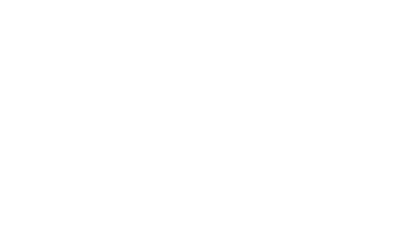 FEN Universidad de Chile